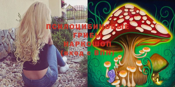 соль курить ск Белокуриха