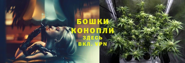 сатива Белоозёрский